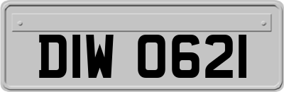 DIW0621