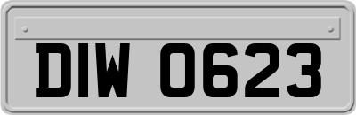 DIW0623