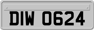 DIW0624