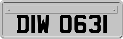 DIW0631