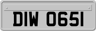 DIW0651