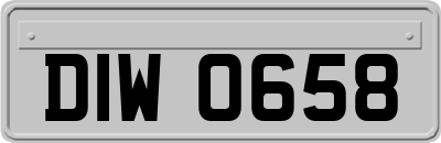 DIW0658