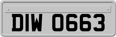 DIW0663