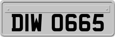DIW0665