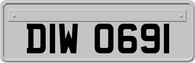 DIW0691