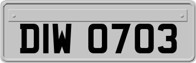 DIW0703
