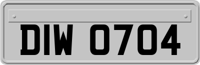 DIW0704