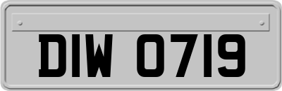 DIW0719