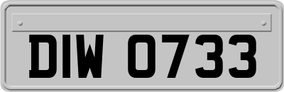 DIW0733