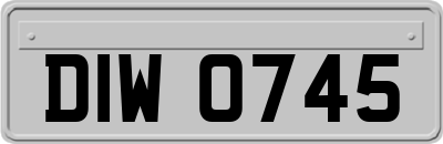 DIW0745