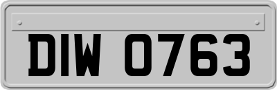 DIW0763