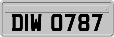 DIW0787