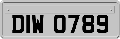 DIW0789