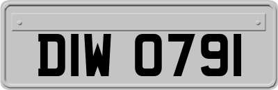 DIW0791