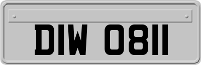 DIW0811