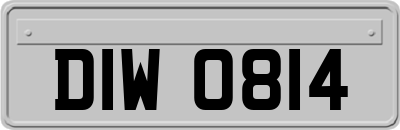 DIW0814