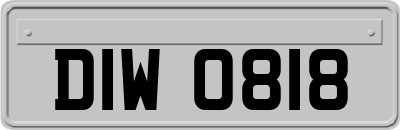 DIW0818