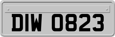 DIW0823