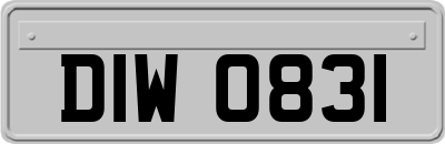 DIW0831