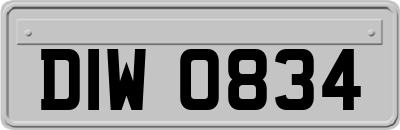 DIW0834