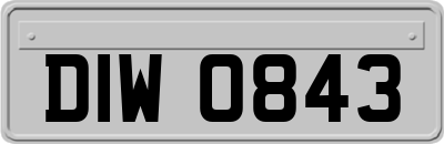 DIW0843
