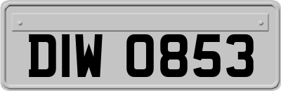 DIW0853