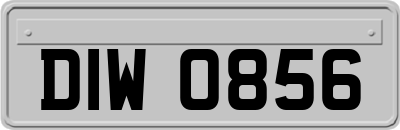 DIW0856