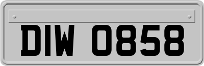 DIW0858