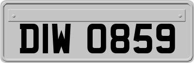 DIW0859
