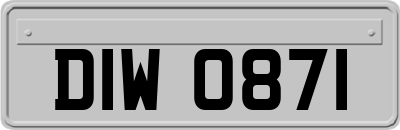 DIW0871