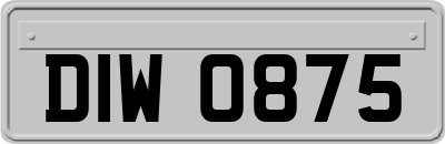 DIW0875