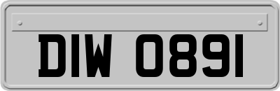 DIW0891