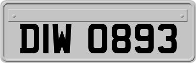 DIW0893