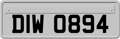 DIW0894