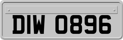 DIW0896