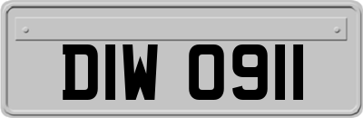 DIW0911