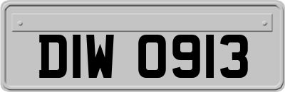 DIW0913