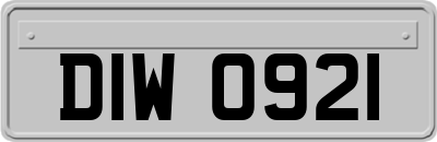 DIW0921