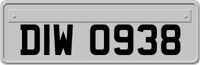 DIW0938