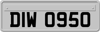 DIW0950