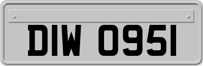 DIW0951