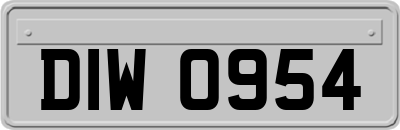 DIW0954