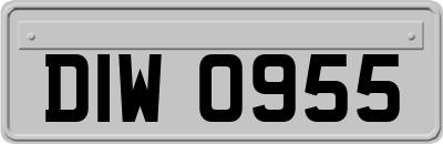 DIW0955