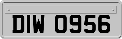 DIW0956