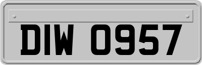 DIW0957
