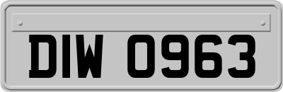DIW0963