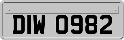 DIW0982