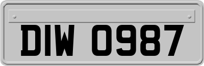 DIW0987