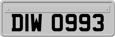 DIW0993