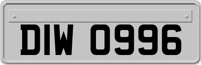 DIW0996